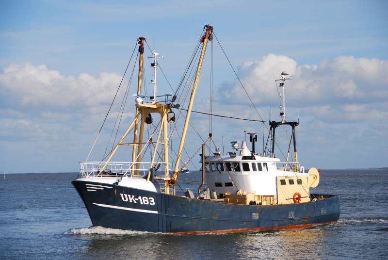 UK16 ORION
