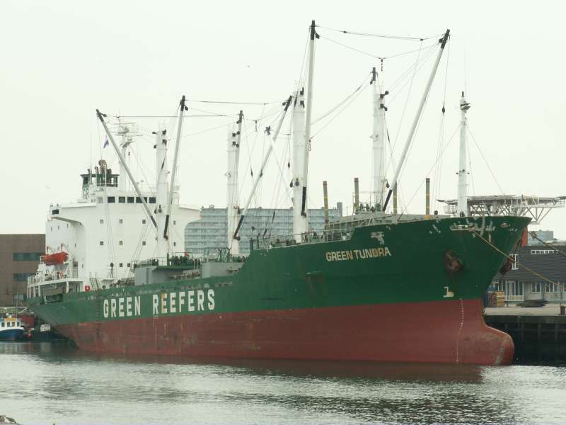 GREEN TUNDRA