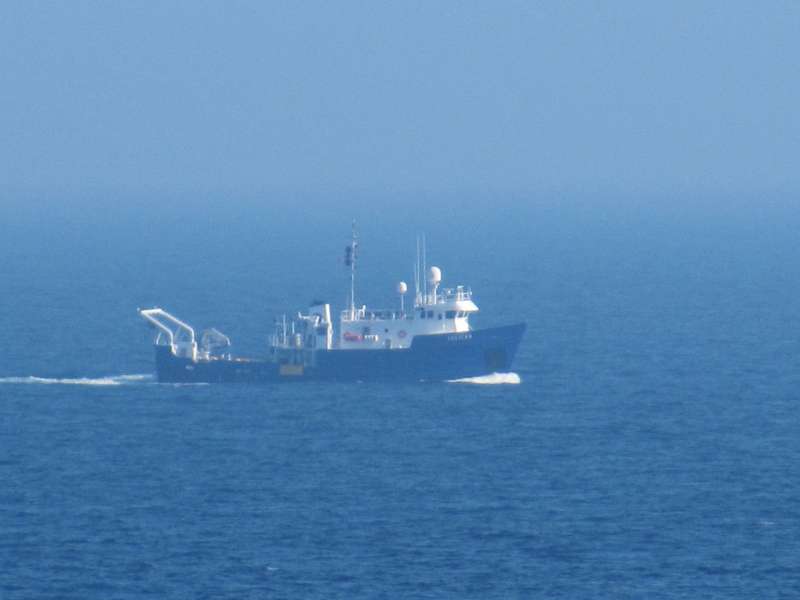 R/V PELICAN