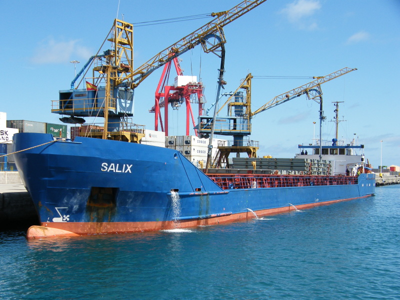 Image of SALIX