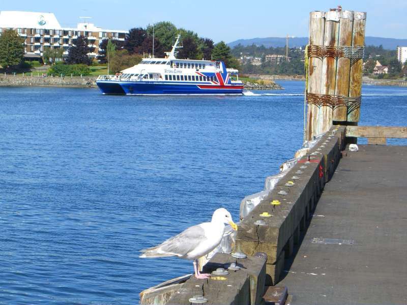 VICTORIA CLIPPER