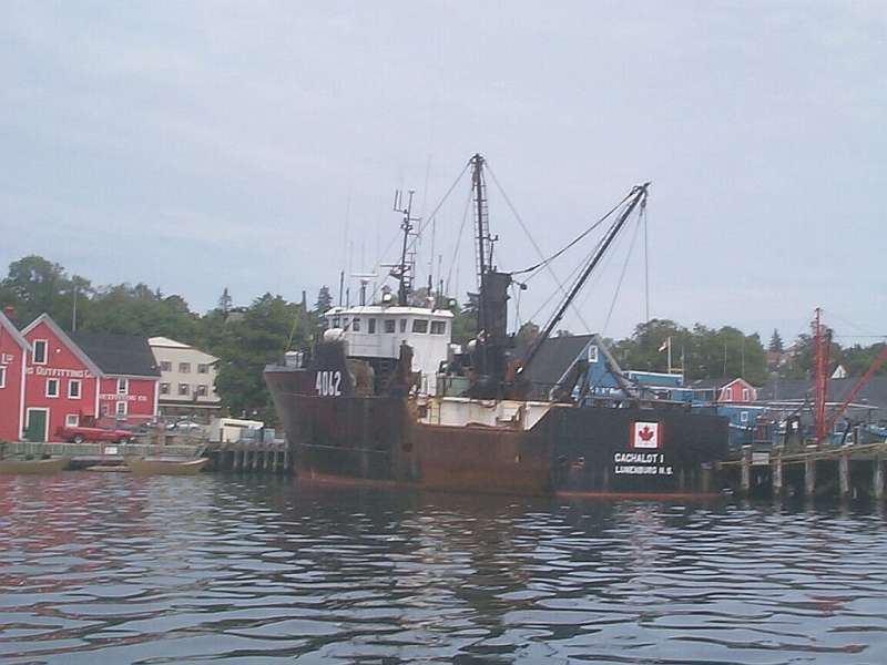 CACHALOT1