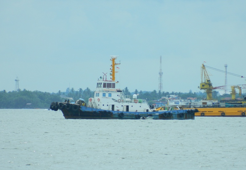 Image of TB SACCI HARBOUR