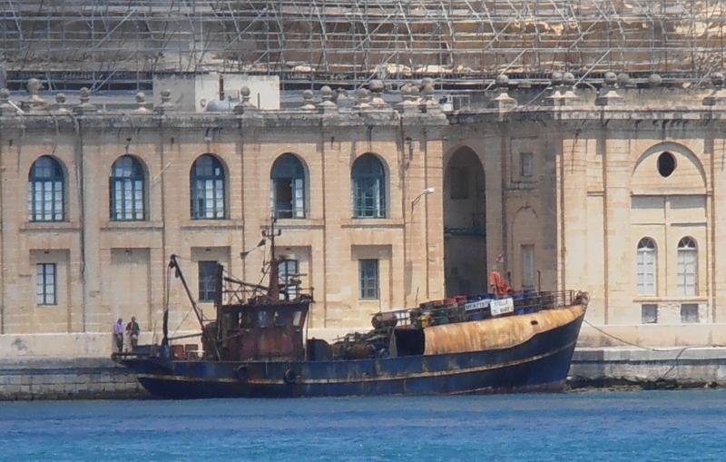 STELLA DEL MARE II