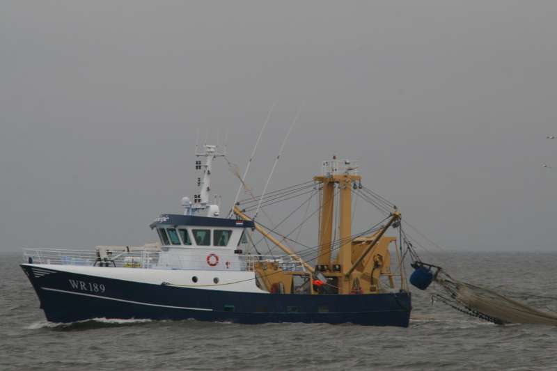 Zeiltocht Markermeer En Natuur