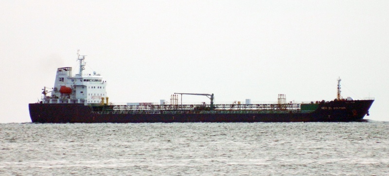 NEW BL DOLPHIN