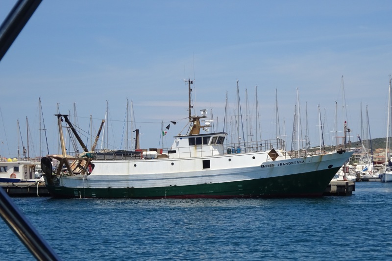 TRAMONTANA I