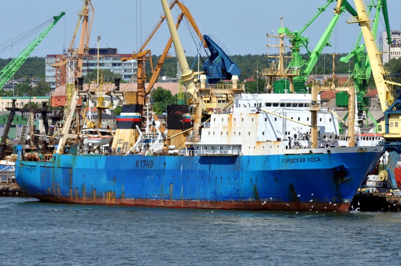 KURSHSKAYA KOSA