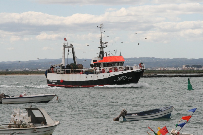 Image of MESTRE JOAO RICO