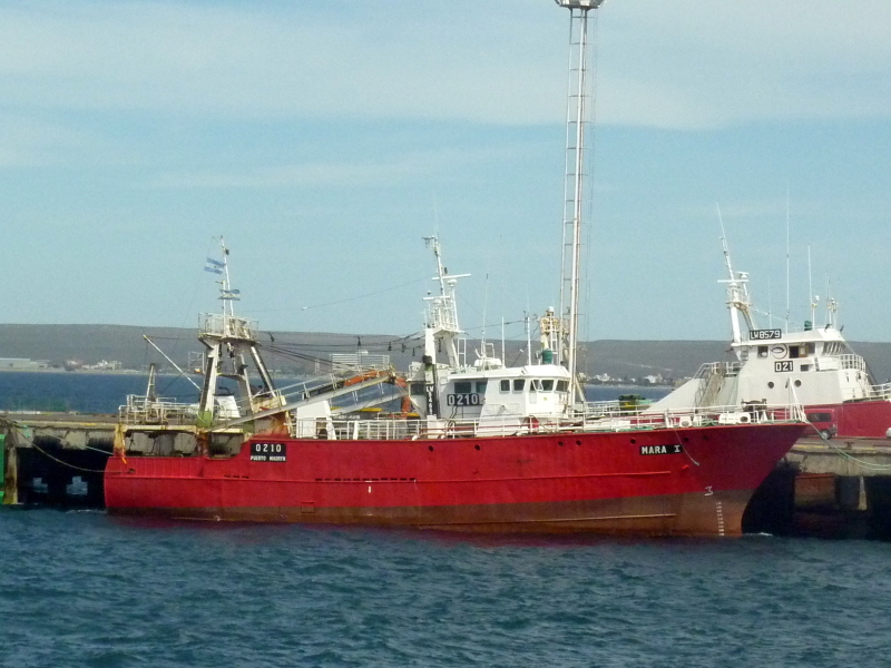 MARA I