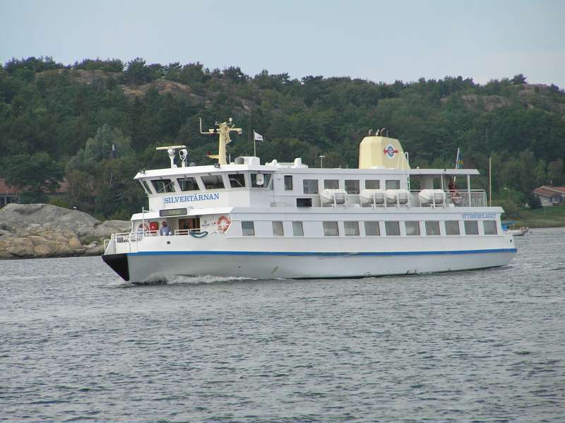 SILVERTARNAN