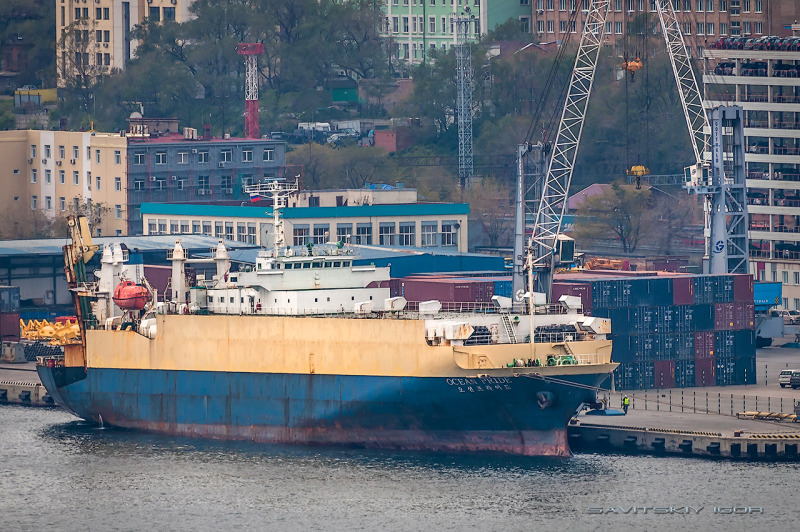 OCEAN PRIDE 1