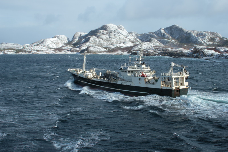 ICE FJORD