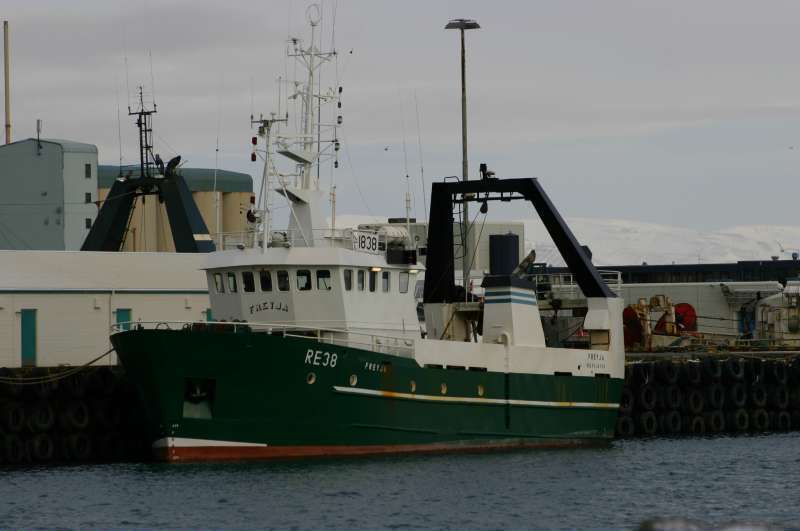 SARA DORTHE II