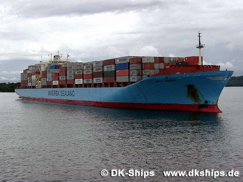 MSC VERONIQUE