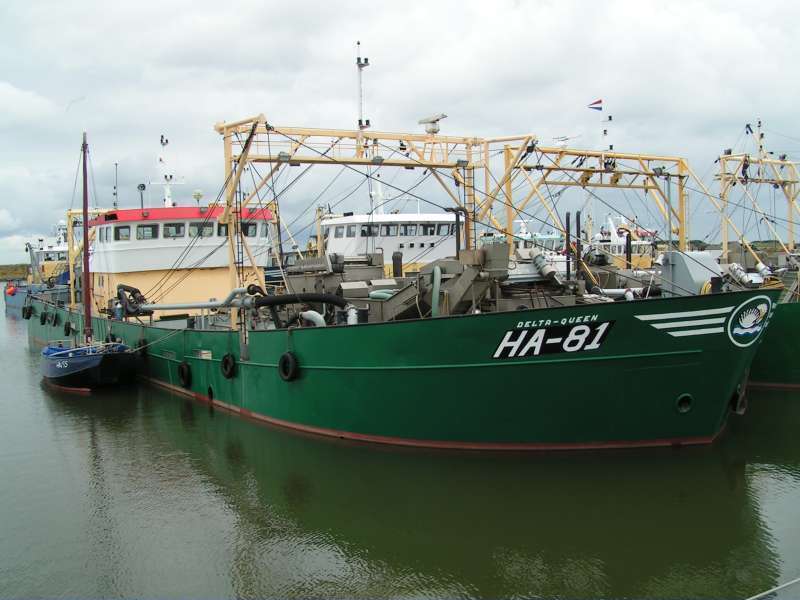 DELTA QUEEN