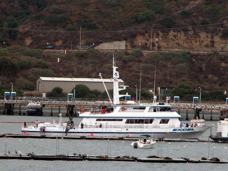 M/V EXCEL