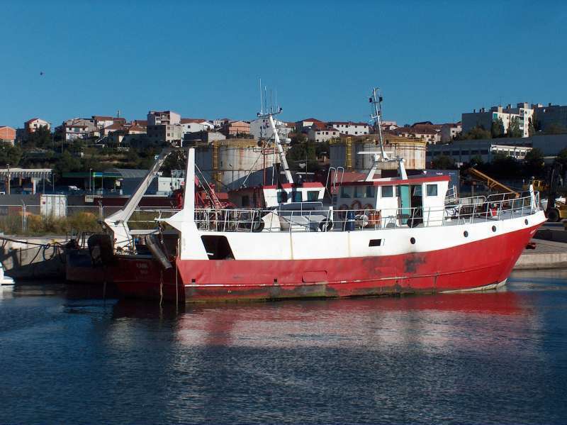 ROZAFA 19