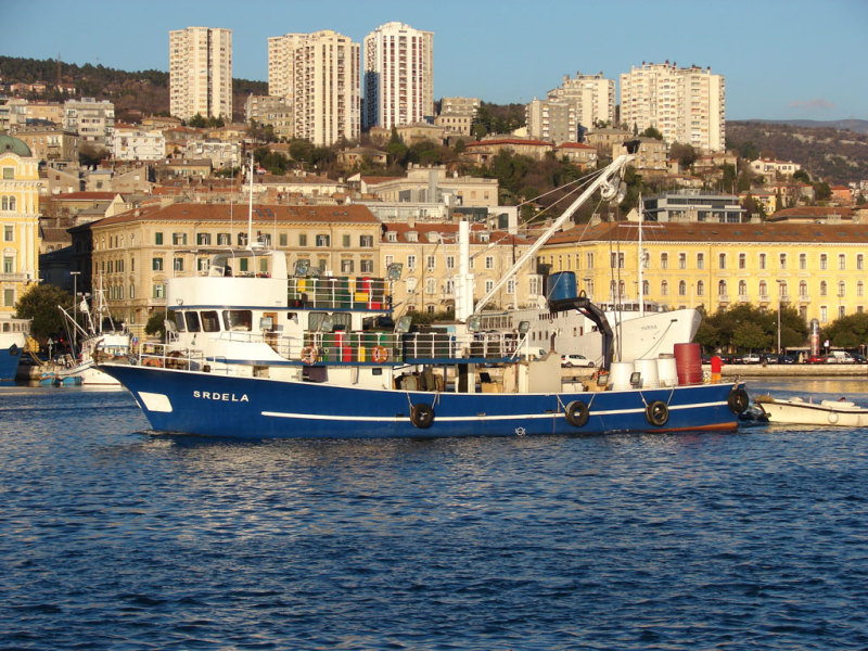 SRDELA