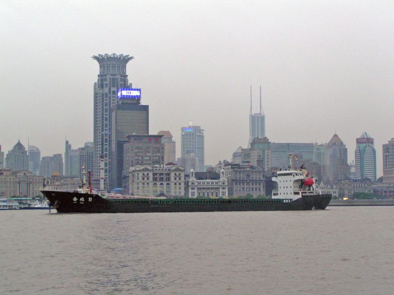 ZHAO 11