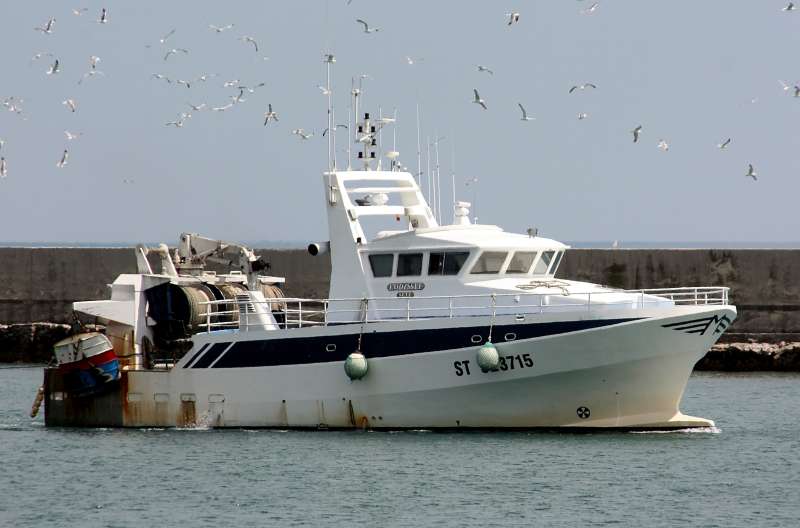 L'ODYSSEE II