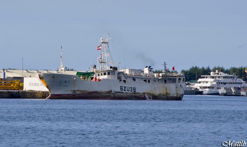 DONG YU 1530