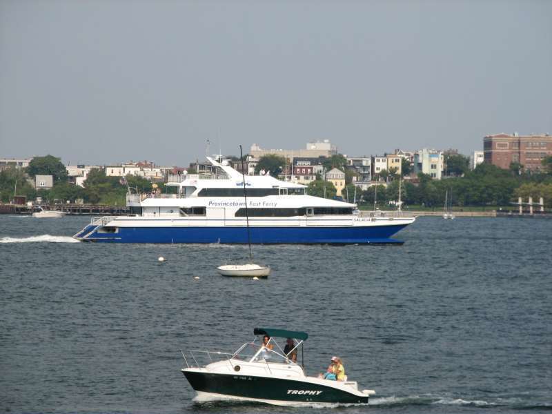 SALACIA