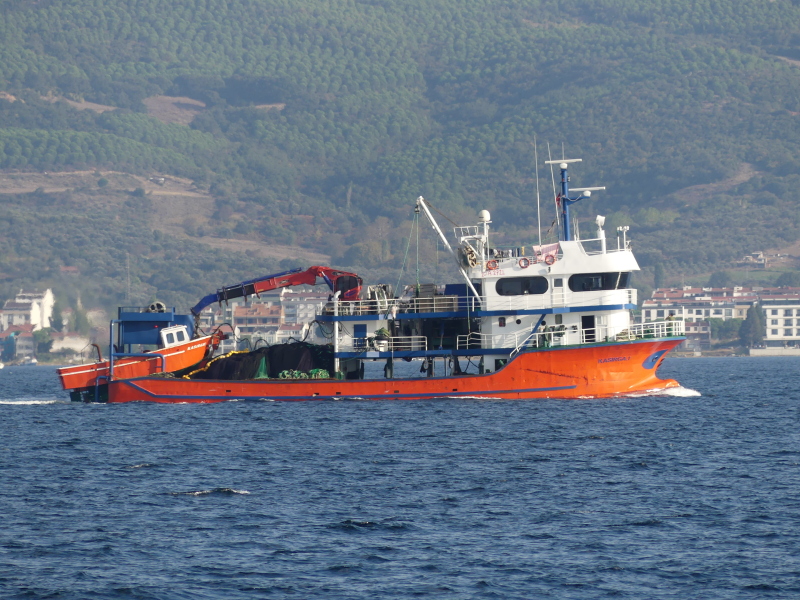 KASIRGA 1