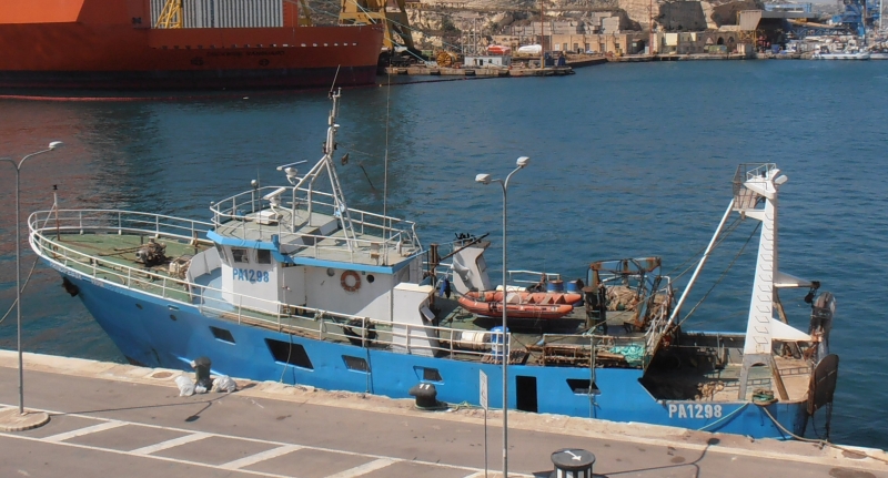TRAMONTANA
