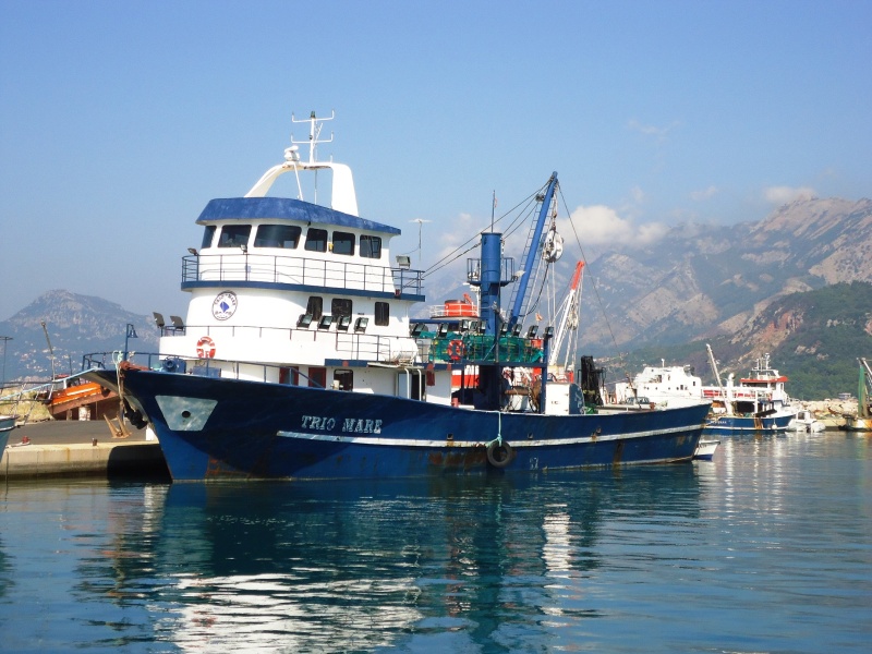 TRIOMARE