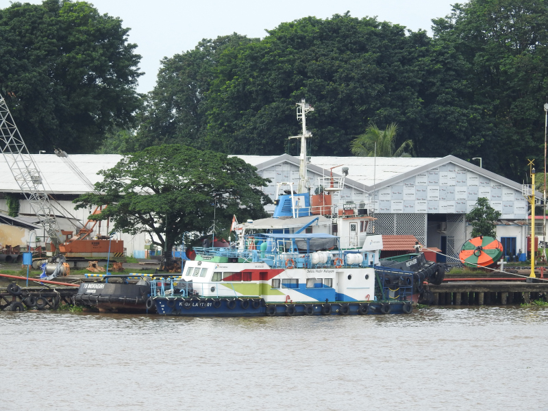 KUDA LAUT 801