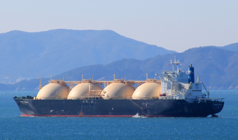 Image of LNG MALEO