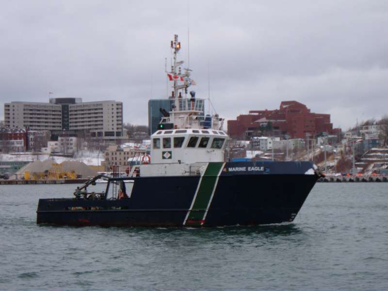 MARINE EAGLE