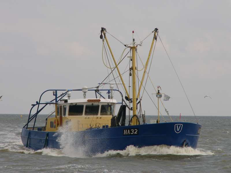 TX 20 WALRUS