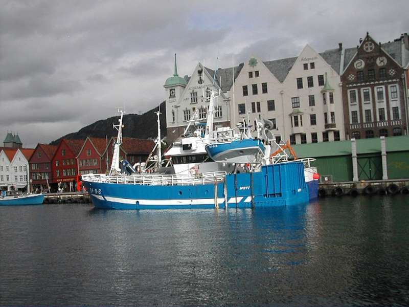 Image of EIDVAAGFISK