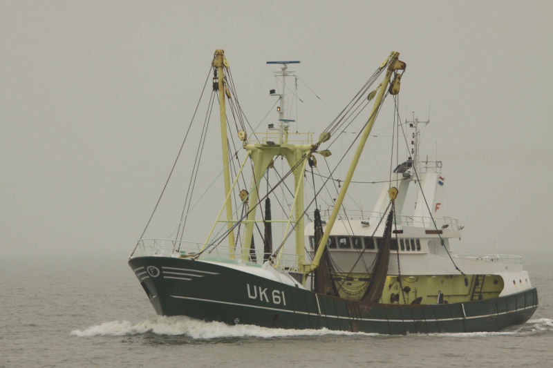 GLOMAR ARCTIC