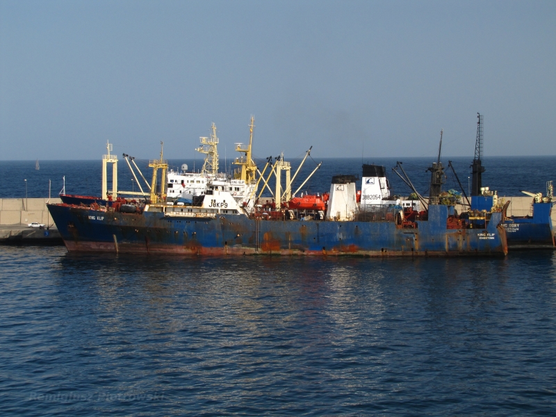 FISHING FORCE