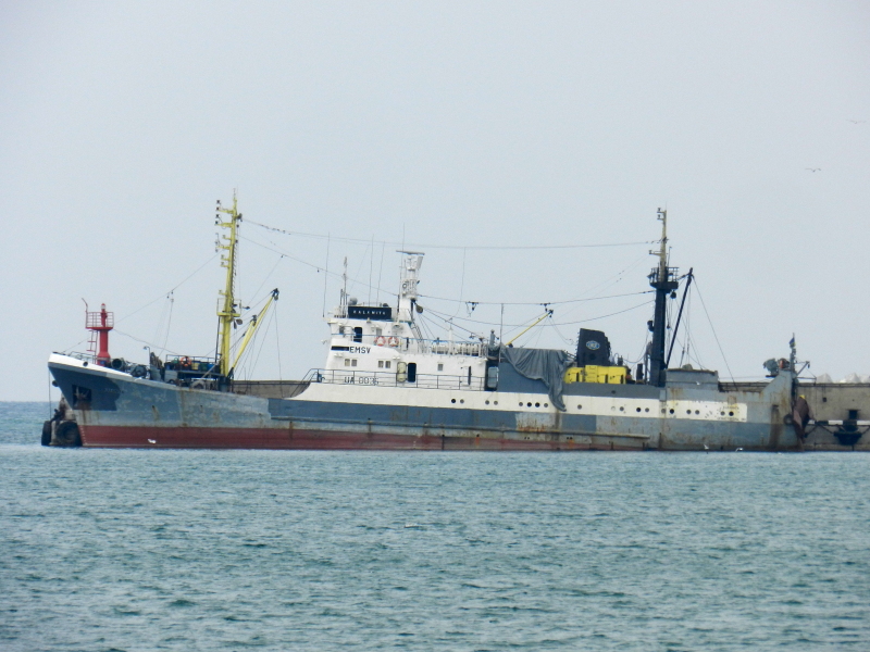 KALAMITA