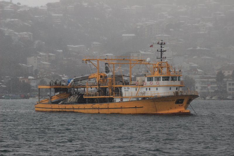 FATOGLU KARDESLER 2