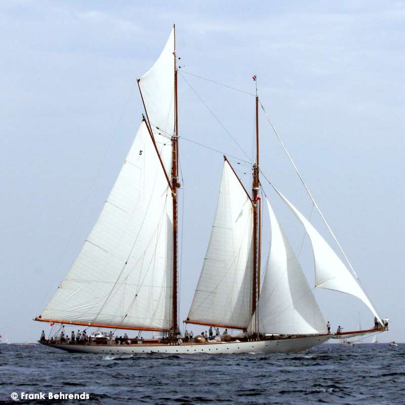 ELEONORA E