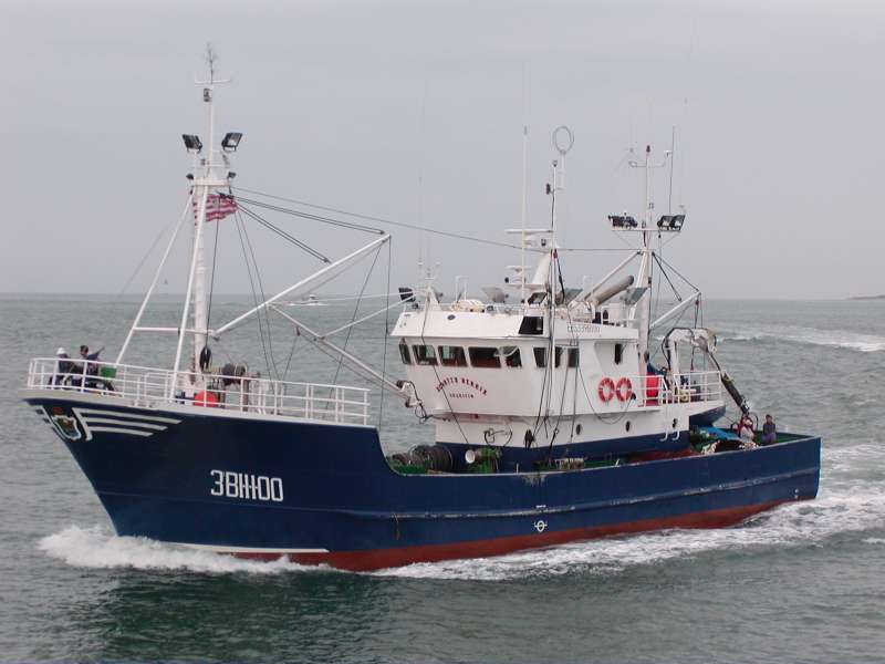 DICHA BALLENA