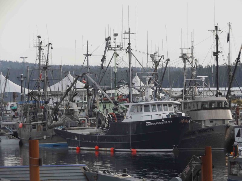 NIMPKISH PRODUCER 1