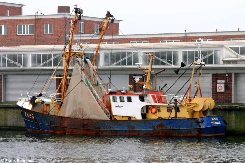 Z41 ALBERT BOS