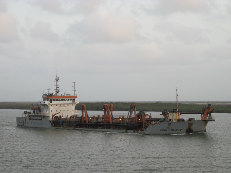 INDUS DOLPHIN
