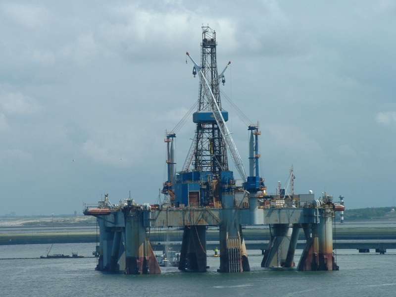 MSS1