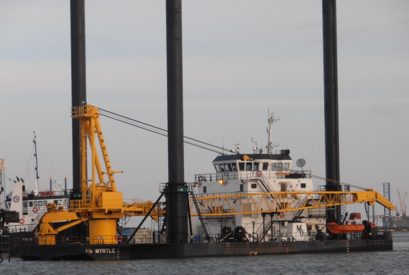 L/B MYRTLE