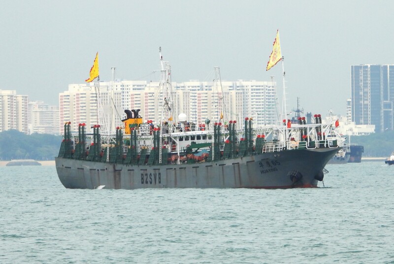 HUAYING65