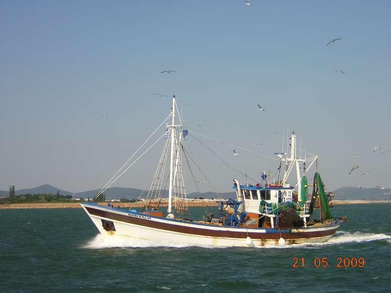 MARINA II