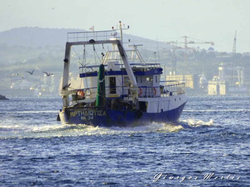 MYRTIDIOTISSA