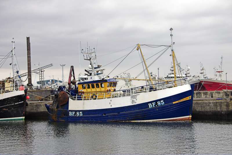 OCEAN TRUST